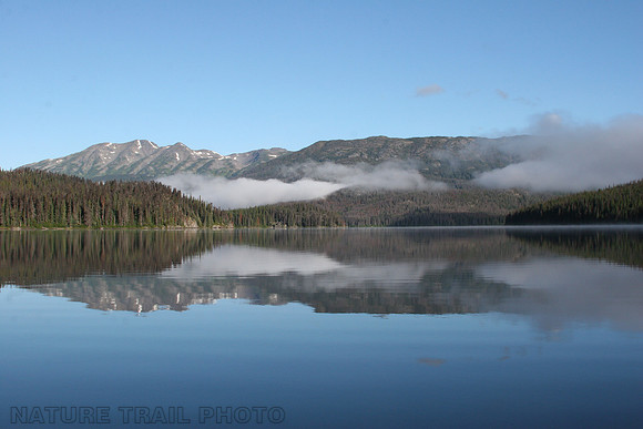 Tesla Lake Reflection