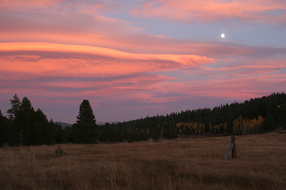 Sunrise Moon
