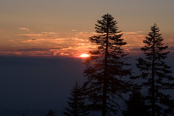 July Sunrise