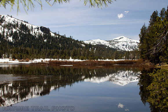 Big Little Truckee
