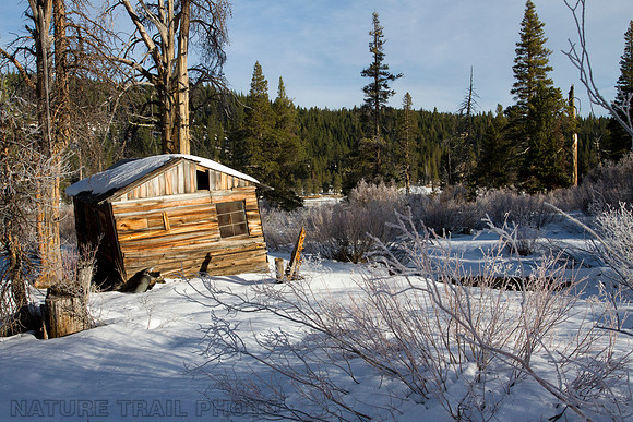 Russell Cabin in Perazzo
