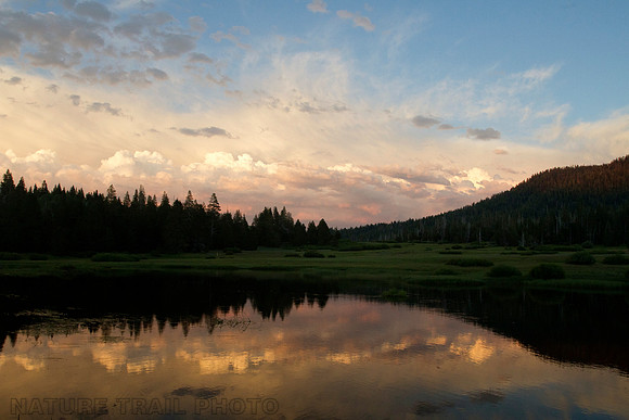 New Little Truckee "Sunrise"