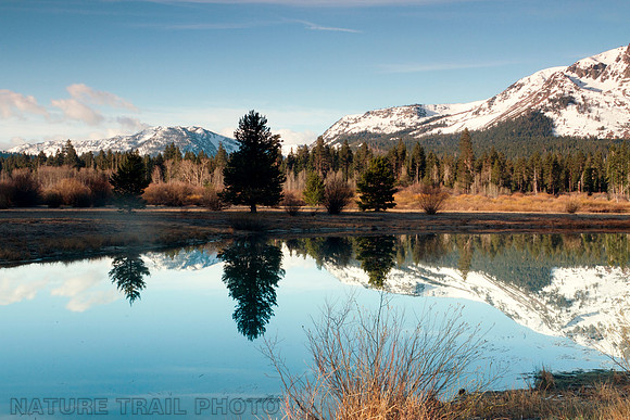 Mt Tallac & Taylor Creek (Tahoe)