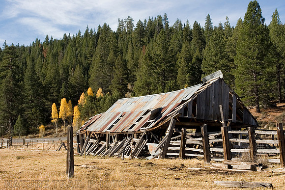 Bickford Ranch