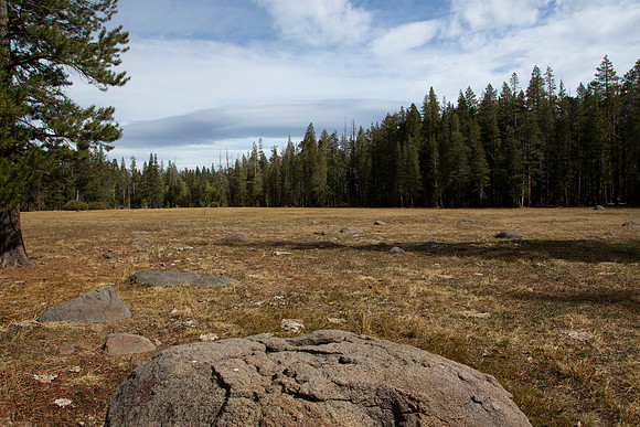 Petroglyph View