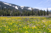 Perazzo Meadows