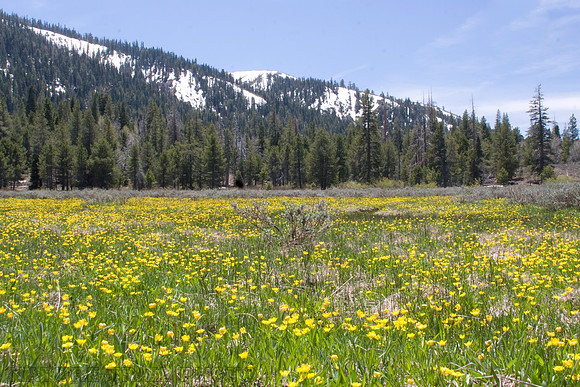 Perazzo Meadows