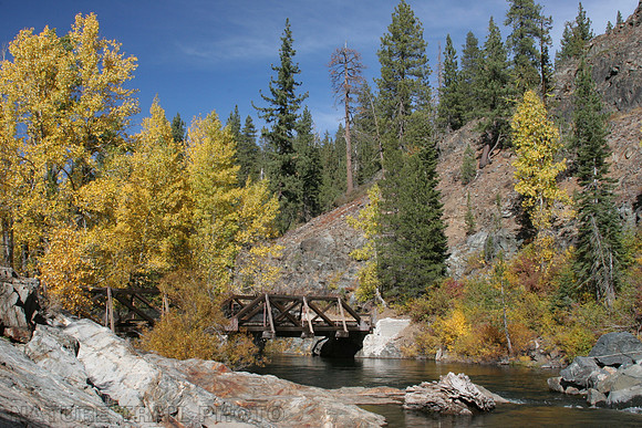 Yuba River Aspens