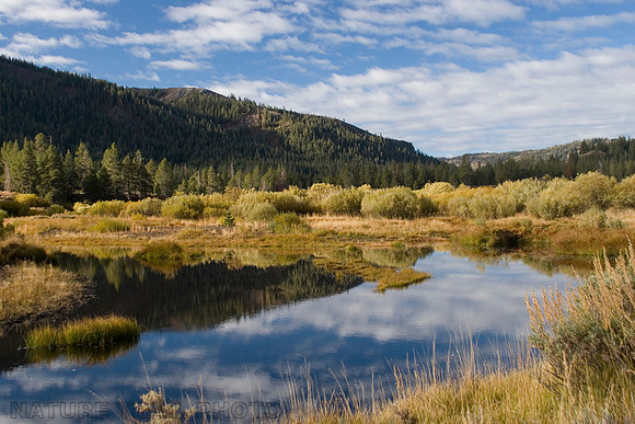 Little Truckee Lower Perazzo