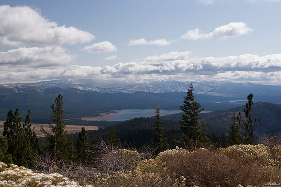 Sardine Lookout View