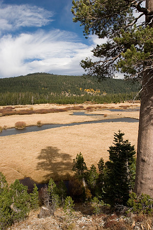 Perazzo Meadows
