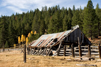 Bickford Ranch