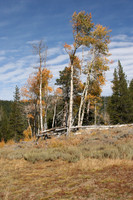 Perazzo Aspen
