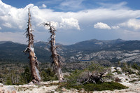 Landscapes
