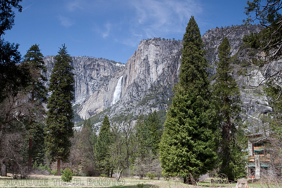 Yosemite Falls From Ahawahnee