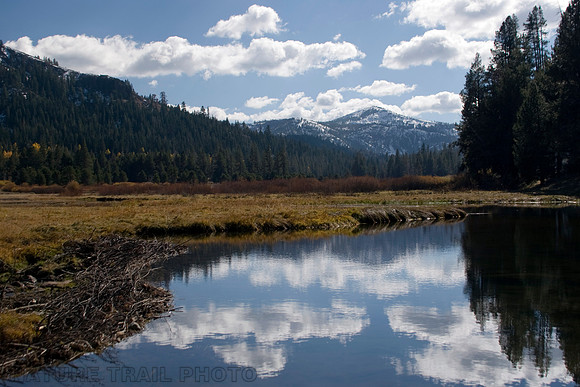 Perazzo Beaver Pond