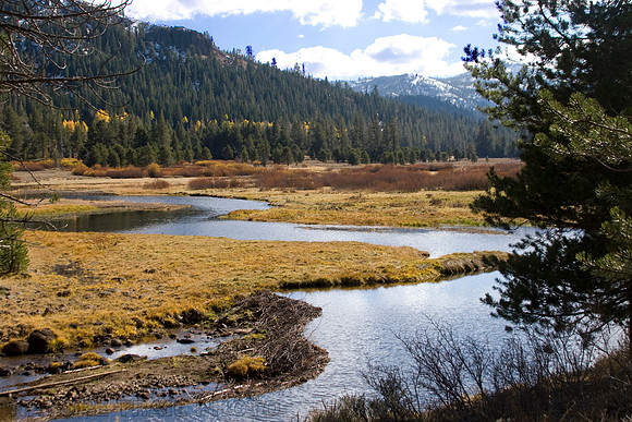 Perazzo Meadow Pond