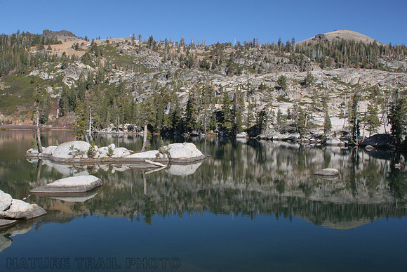 Paradise Reflection