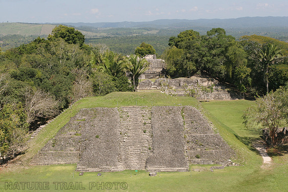 Mayan Engineering
