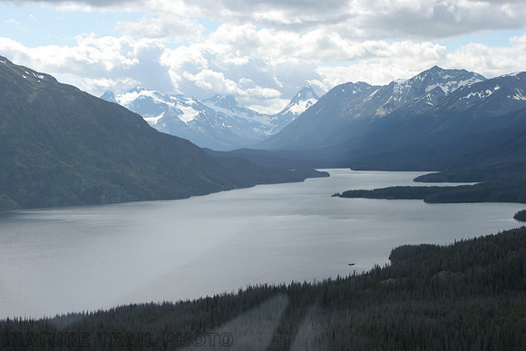 Tesla lake Aerial