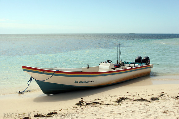 Belize Beach