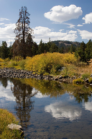 Little Truckee River