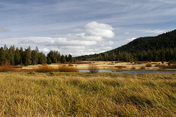 New Little Truckee Fall