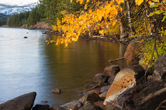 Independence Lake Aspen