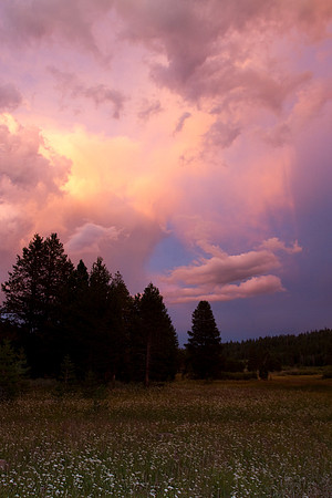 Flaming Sunset