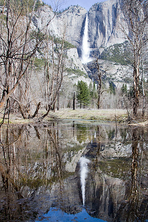 Yosemite Falls Reflection