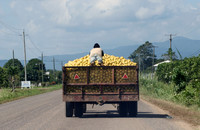 Belize Transportation Mode